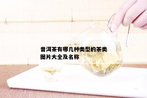 普洱茶有哪几种类型的茶类图片大全及名称