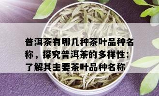 普洱茶有哪几种茶叶品种名称，探究普洱茶的多样性：了解其主要茶叶品种名称