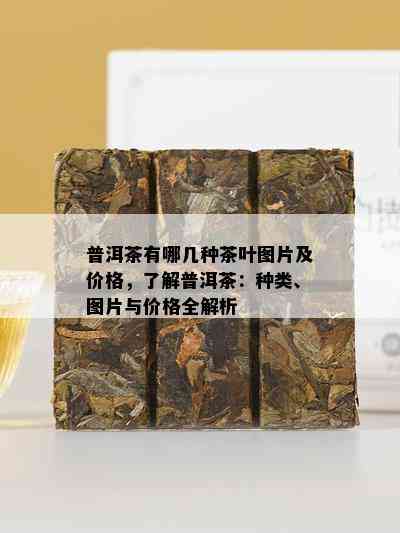 普洱茶有哪几种茶叶图片及价格，了解普洱茶：种类、图片与价格全解析