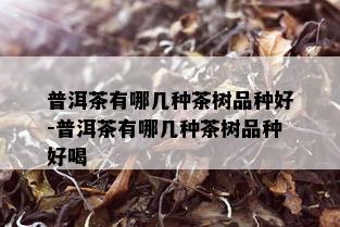 普洱茶有哪几种茶树品种好-普洱茶有哪几种茶树品种好喝