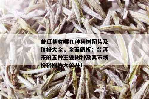 普洱茶有哪几种茶树图片及价格大全，全面解析：普洱茶的五种主要树种及其市场价格图片大公开！