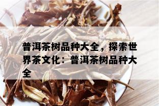 普洱茶树品种大全，探索世界茶文化：普洱茶树品种大全