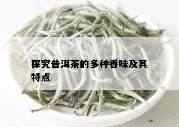 探究普洱茶的多种香味及其特点