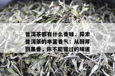 普洱茶都有什么香味，探索普洱茶的丰富香气：从醇厚到果香，你不能错过的味道