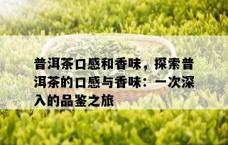 普洱茶口感和香味，探索普洱茶的口感与香味：一次深入的品鉴之旅