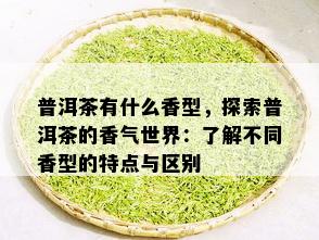 普洱茶有什么香型，探索普洱茶的香气世界：了解不同香型的特点与区别