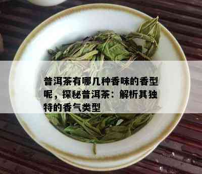 普洱茶有哪几种香味的香型呢，探秘普洱茶：解析其独特的香气类型