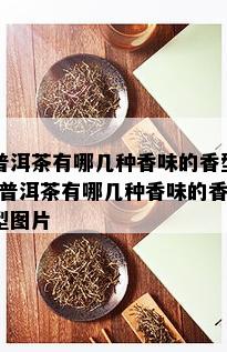 普洱茶有哪几种香味的香型-普洱茶有哪几种香味的香型图片