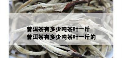 普洱茶有多少吨茶叶一斤-普洱茶有多少吨茶叶一斤的