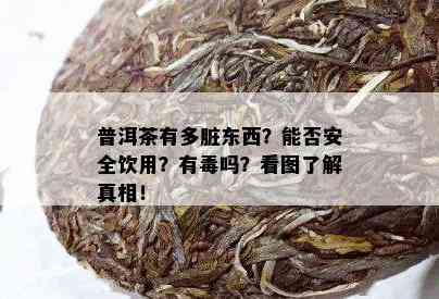 普洱茶有多脏东西？能否安全饮用？有吗？看图了解真相！