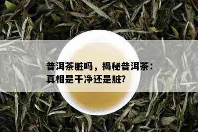 普洱茶脏吗，揭秘普洱茶：真相是干净还是脏？