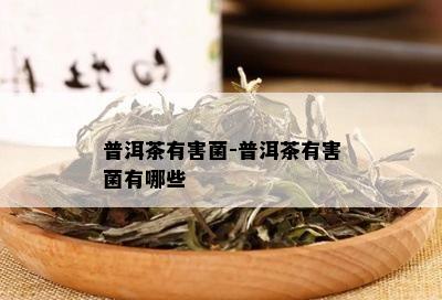 普洱茶有害菌-普洱茶有害菌有哪些