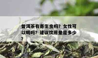 普洱茶有寄生虫吗？女性可以喝吗？建议饮用量是多少？