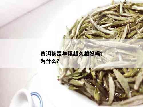 普洱茶是年限越久越好吗？为什么？