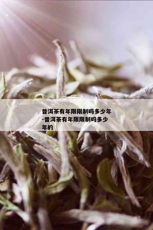 普洱茶有年限限制吗多少年-普洱茶有年限限制吗多少年的