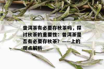 普洱茶有必要存秋茶吗，探讨秋茶的重要性：普洱茶是否有必要存秋茶？——上的观点解析