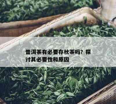 普洱茶有必要存秋茶吗？探讨其必要性和原因