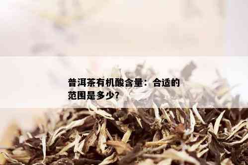 普洱茶有机酸含量：合适的范围是多少？