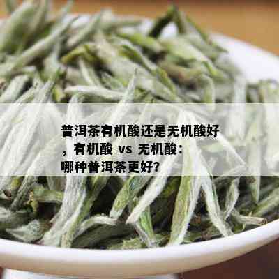 普洱茶有机酸还是无机酸好，有机酸 vs 无机酸：哪种普洱茶更好？