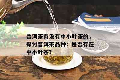 普洱茶有没有中小叶茶的，探讨普洱茶品种：是否存在中小叶茶？