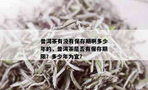 普洱茶有没有保存期啊多少年的，普洱茶是否有保存期限？多少年为宜？