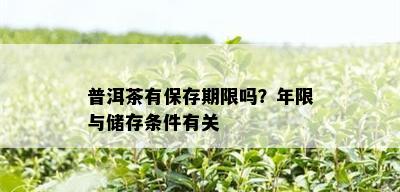 普洱茶有保存期限吗？年限与储存条件有关