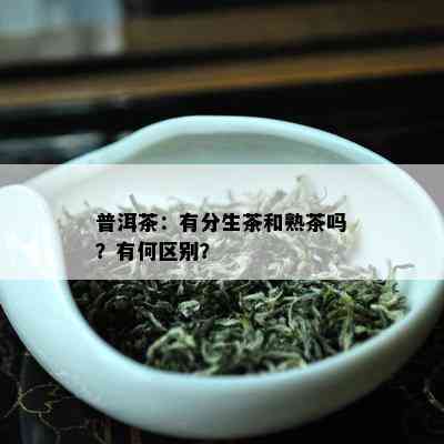 普洱茶：有分生茶和熟茶吗？有何区别？