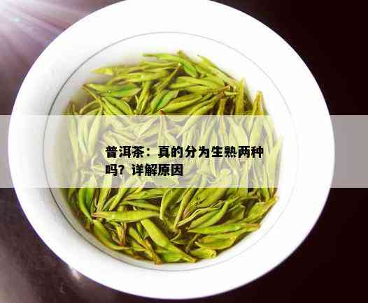 普洱茶：真的分为生熟两种吗？详解原因