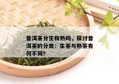 普洱茶分生和熟吗，探讨普洱茶的分类：生茶与熟茶有何不同？