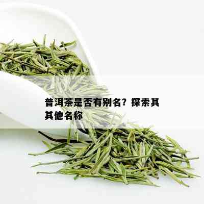 普洱茶是否有别名？探索其其他名称