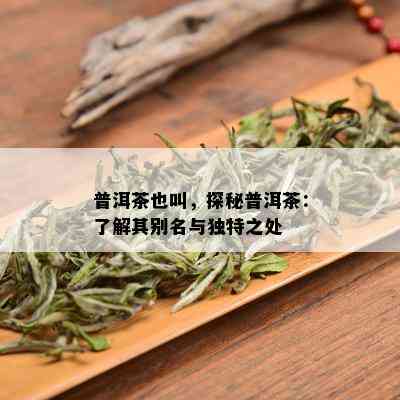 普洱茶也叫，探秘普洱茶：了解其别名与独特之处