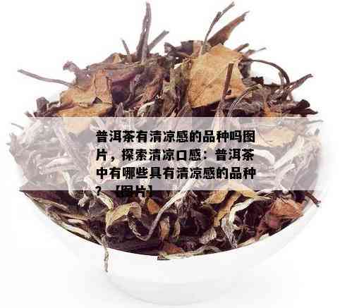 普洱茶有清凉感的品种吗图片，探索清凉口感：普洱茶中有哪些具有清凉感的品种？【图片】