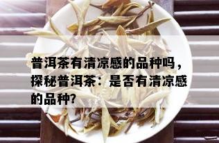 普洱茶有清凉感的品种吗，探秘普洱茶：是否有清凉感的品种？