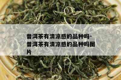 普洱茶有清凉感的品种吗-普洱茶有清凉感的品种吗图片