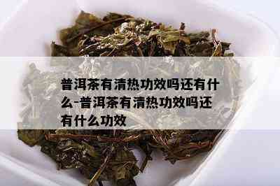 普洱茶有清热功效吗还有什么-普洱茶有清热功效吗还有什么功效