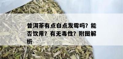 普洱茶有点白点发霉吗？能否饮用？有无性？附图解析