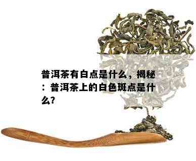 普洱茶有白点是什么，揭秘：普洱茶上的白色斑点是什么？