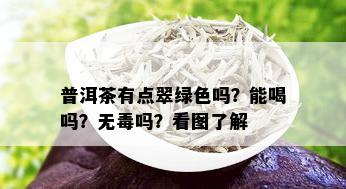 普洱茶有点翠绿色吗？能喝吗？无吗？看图了解