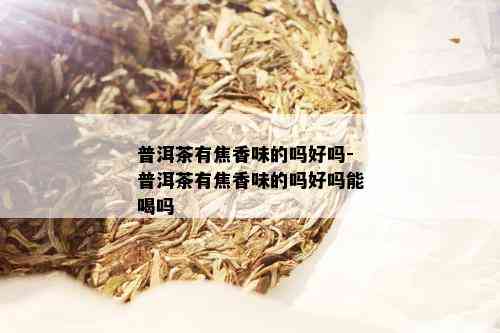 普洱茶有焦香味的吗好吗-普洱茶有焦香味的吗好吗能喝吗