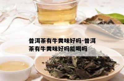 普洱茶有牛粪味好吗-普洱茶有牛粪味好吗能喝吗