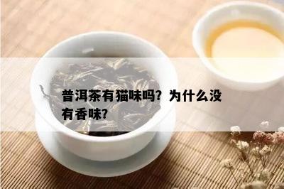 普洱茶有猫味吗？为什么没有香味？