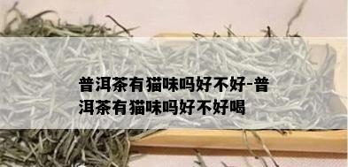 普洱茶有猫味吗好不好-普洱茶有猫味吗好不好喝