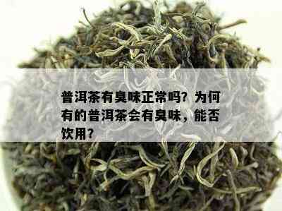 普洱茶有臭味正常吗？为何有的普洱茶会有臭味，能否饮用？