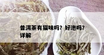 普洱茶有猫味吗？好泡吗？详解