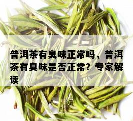 普洱茶有臭味正常吗，普洱茶有臭味是否正常？专家解读