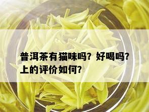 普洱茶有猫味吗？好喝吗？上的评价如何？