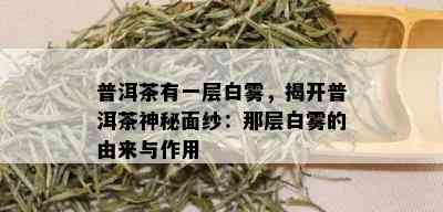 普洱茶有一层白雾，揭开普洱茶神秘面纱：那层白雾的由来与作用