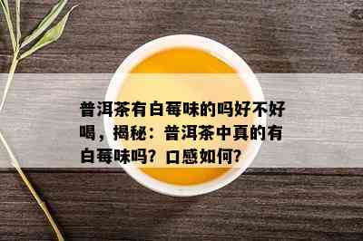 普洱茶有白莓味的吗好不好喝，揭秘：普洱茶中真的有白莓味吗？口感如何？