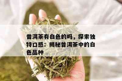 普洱茶有白色的吗，探索独特口感：揭秘普洱茶中的白色品种