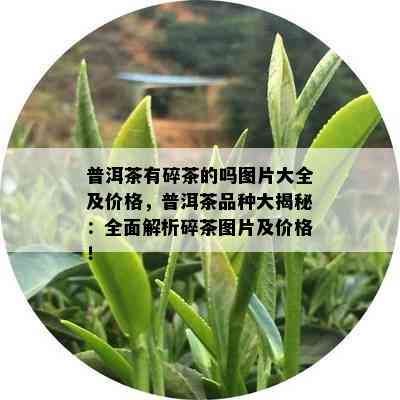 普洱茶有碎茶的吗图片大全及价格，普洱茶品种大揭秘：全面解析碎茶图片及价格！